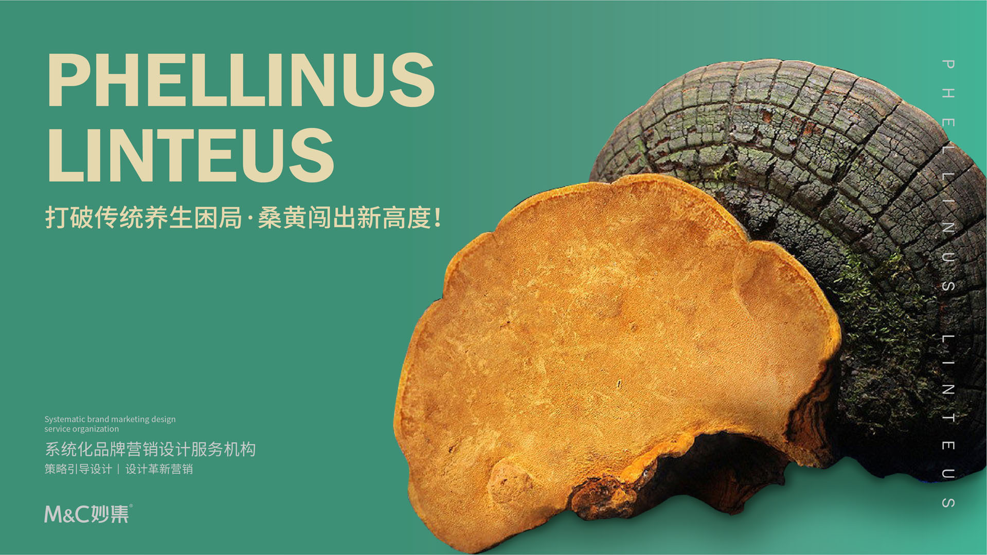 九仙阁包装设计
